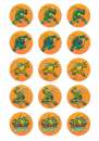 Teenage Mutant Ninja Turtles Cupcake Images